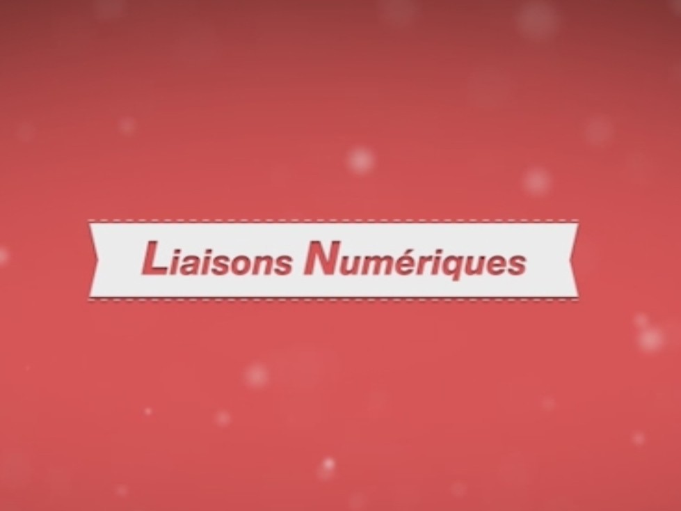 Liaisons Numériques